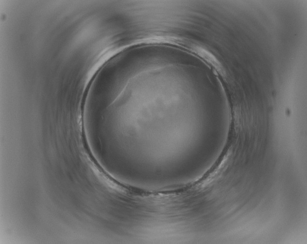 X0000073701428200608031203