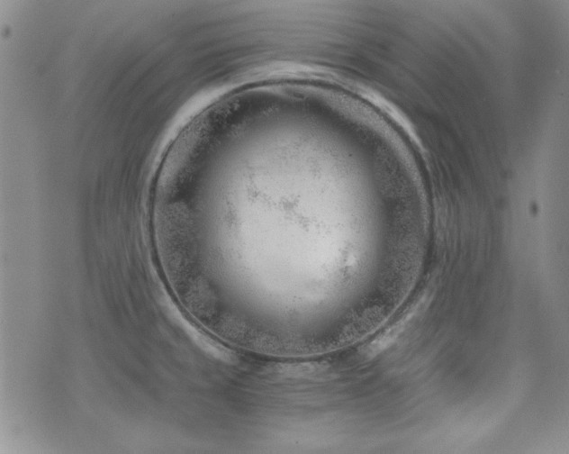 X0000073701429200608031203