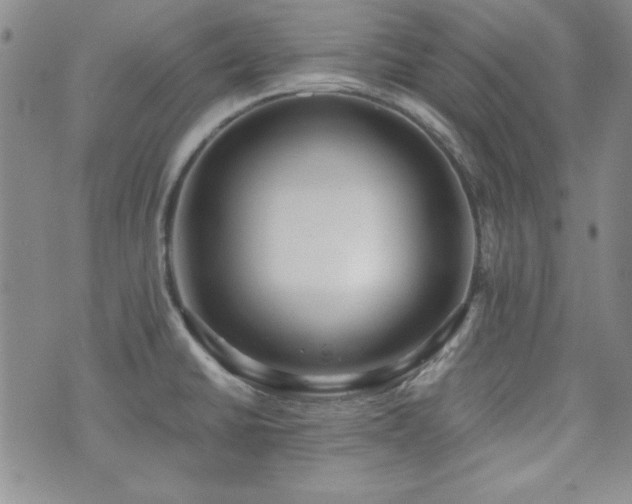 X0000073701430200608031203