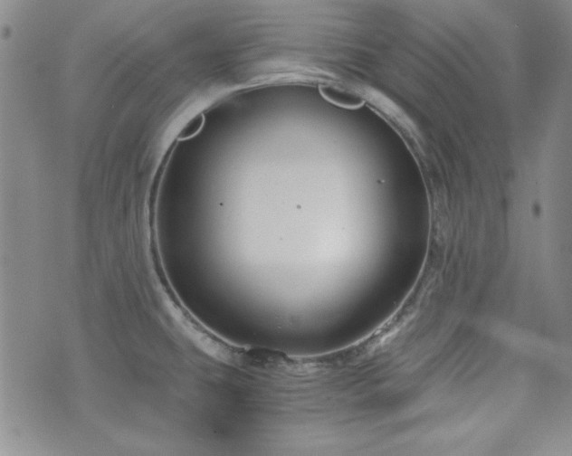 X0000073701431200608031203