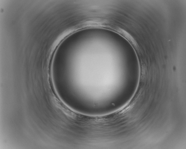 X0000073701435200608031203