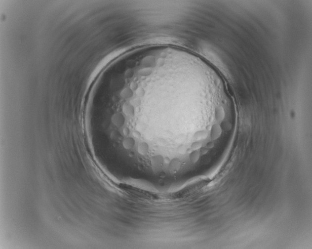 X0000073701436200608031203