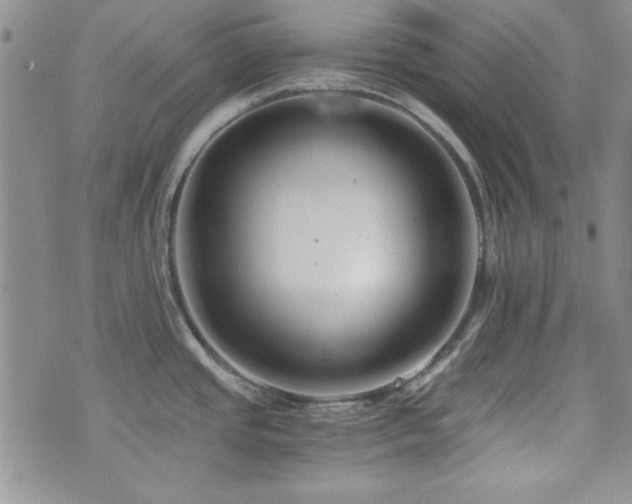 X0000073701437200608031203