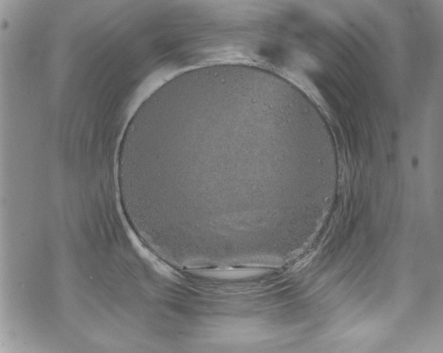 X0000073701439200608031203