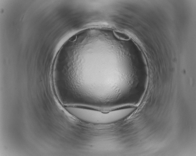 X0000073701440200608031203