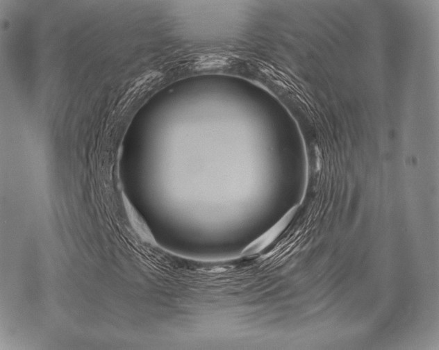 X0000073701441200608031203