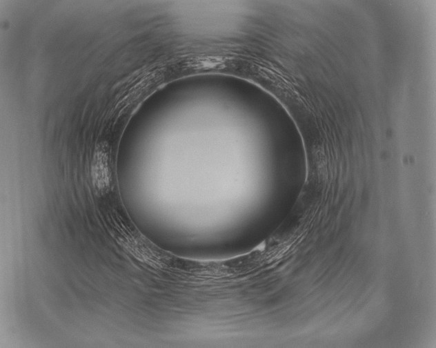 X0000073701442200608031203