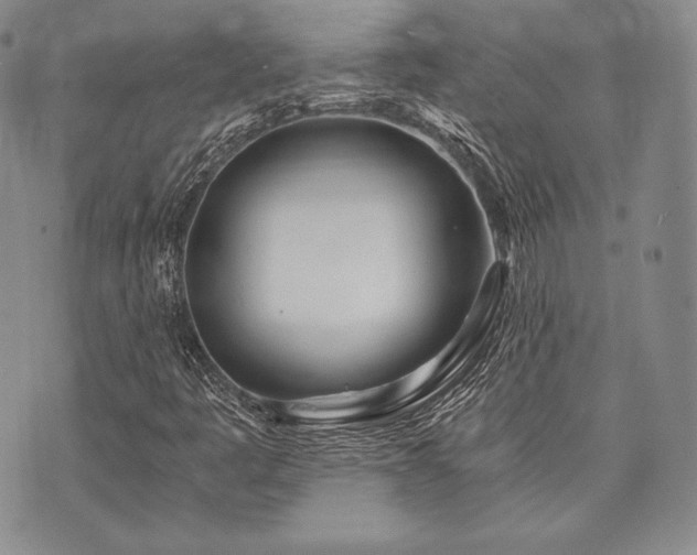 X0000073701445200608031203