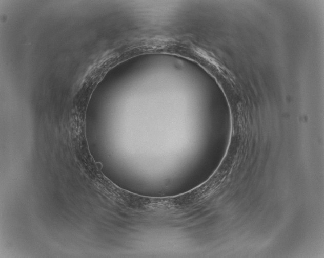 X0000073701447200608031202