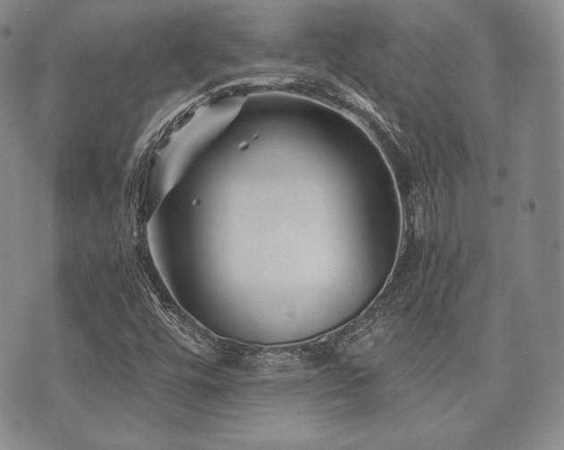 X0000073701448200608031202