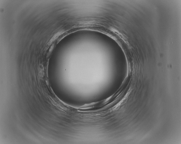 X0000073701449200608031202