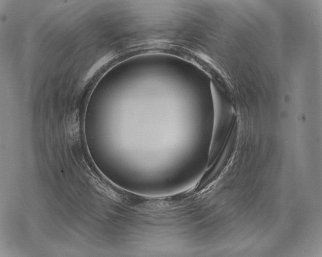 X0000073701450200608031202