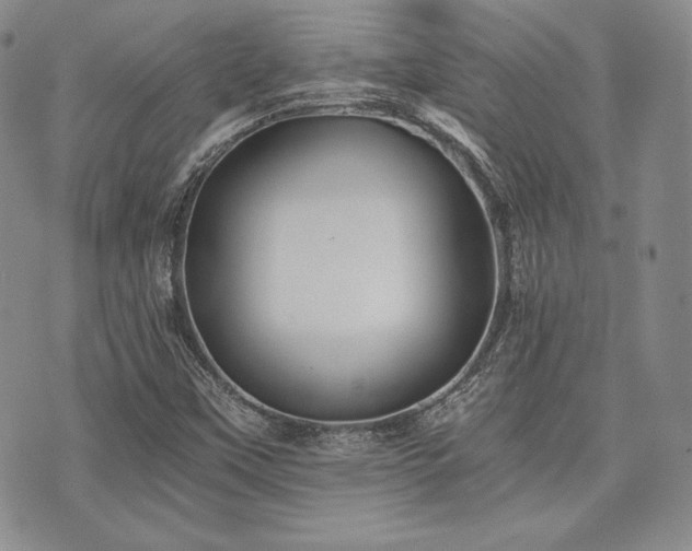 X0000073701451200608031202