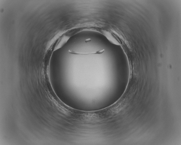 X0000073701452200608031202