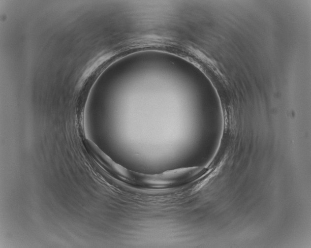 X0000073701453200608031202