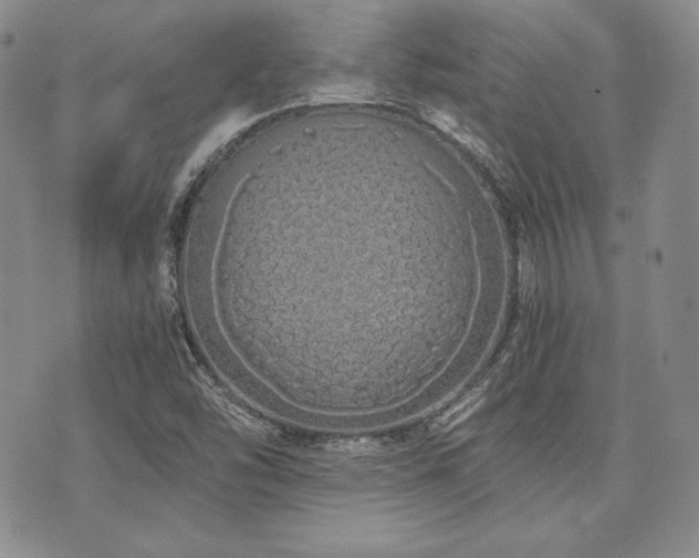 X0000073701454200608031202