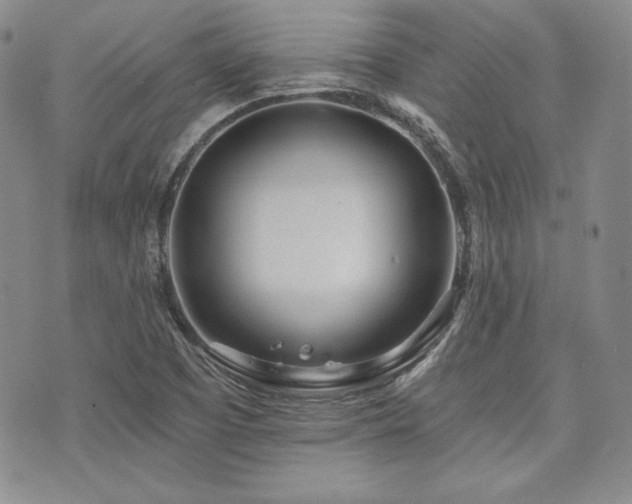 X0000073701457200608031202