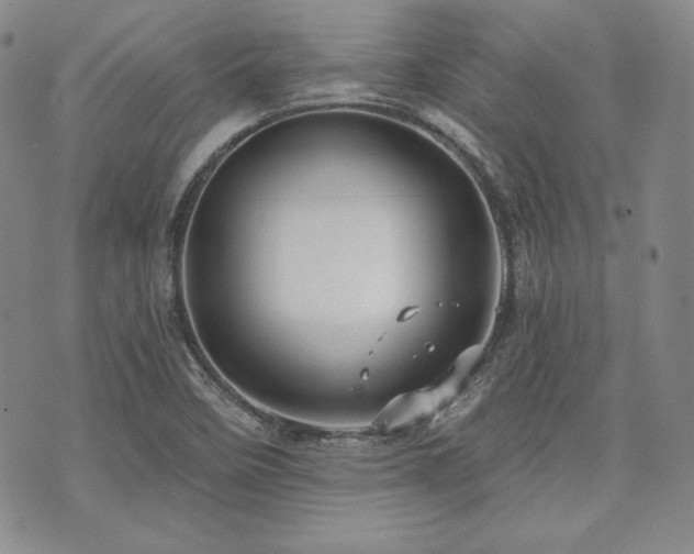 X0000073701458200608031202