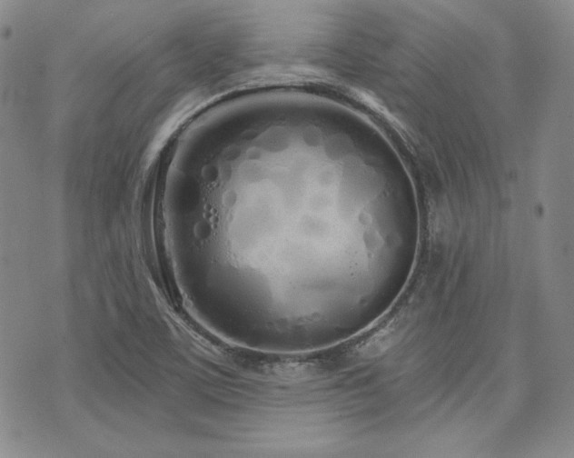 X0000073701459200608031202