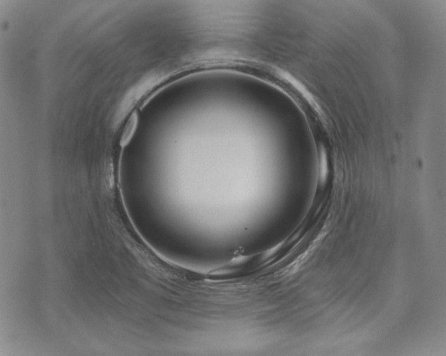 X0000073701461200608031202