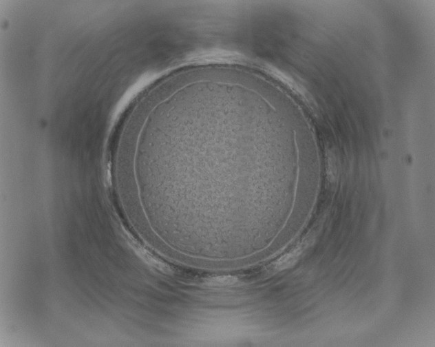 X0000073701462200608031202