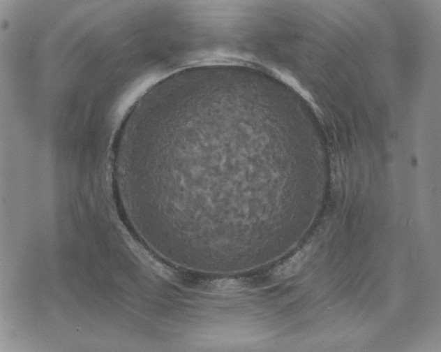 X0000073701463200608031202