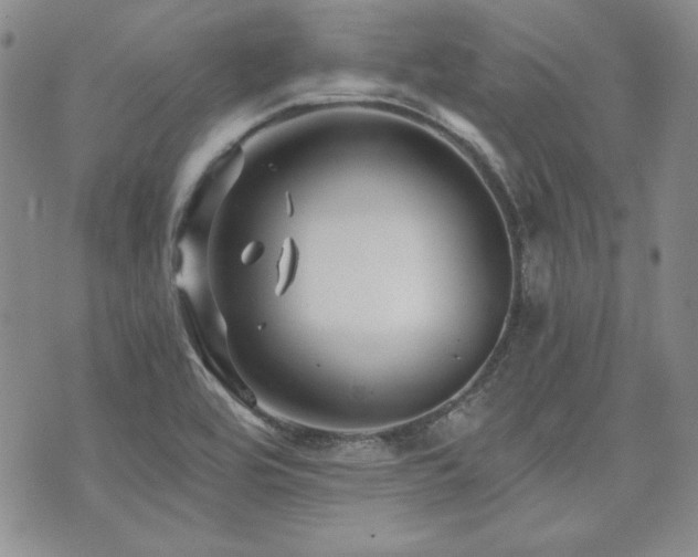 X0000073701464200608031202