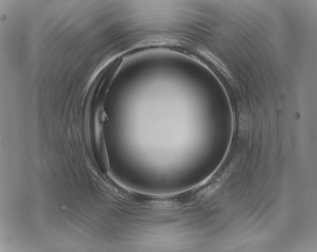 X0000073701465200608031202