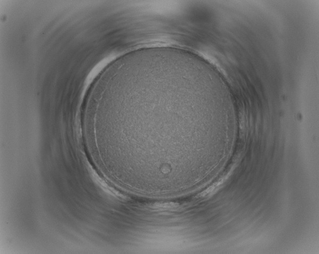 X0000073701466200608031202