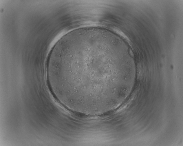 X0000073701467200608031202