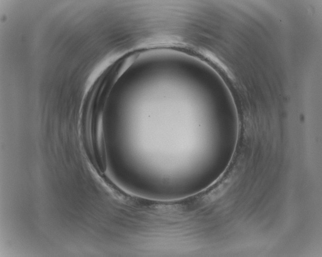 X0000073701469200608031202