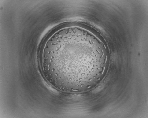 X0000073701470200608031202