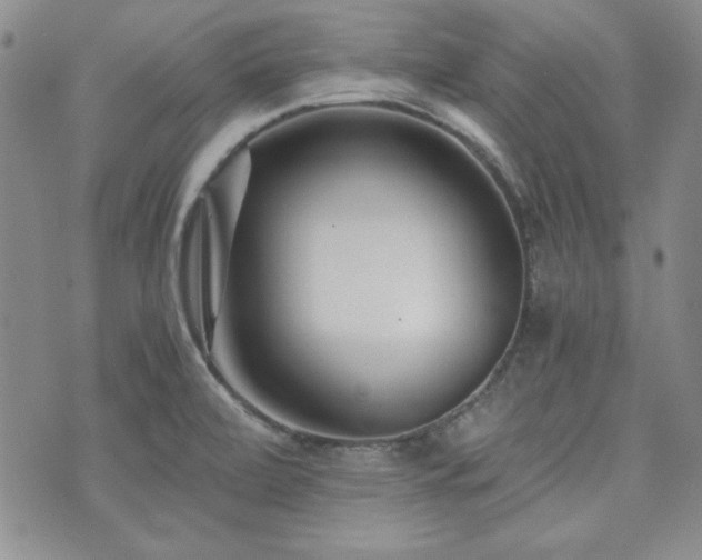 X0000073701472200608031202