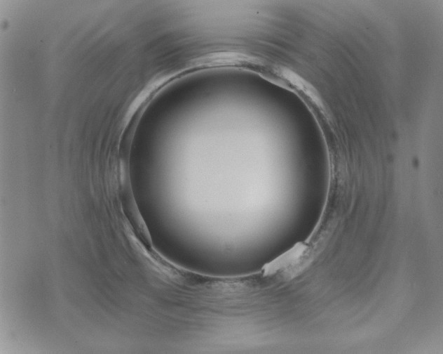 X0000073701473200608031202