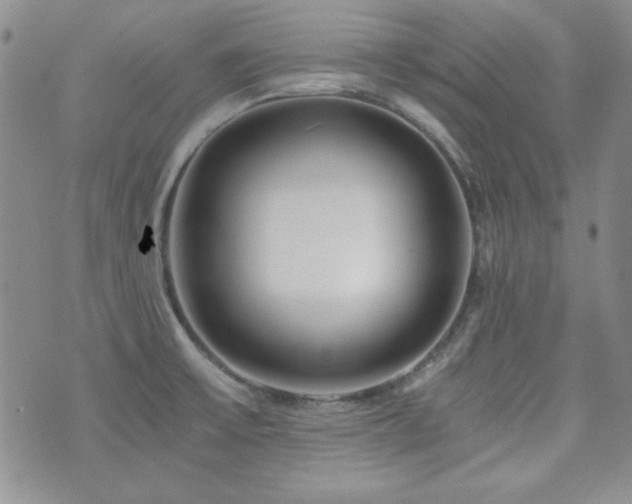 X0000073701475200608031202