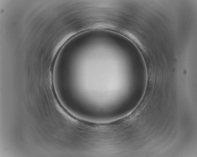 X0000073701476200608031202