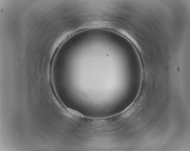 X0000073701477200608031202