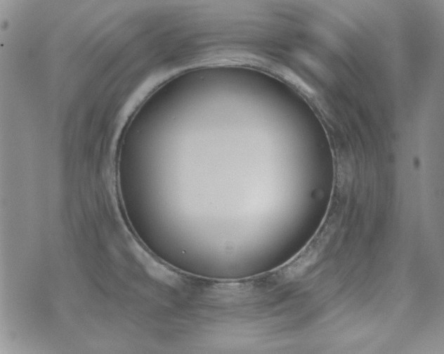 X0000073701478200608031202