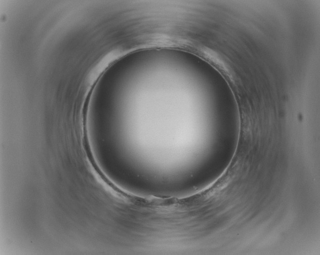 X0000073701479200608031202