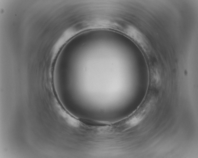 X0000073701480200608031202