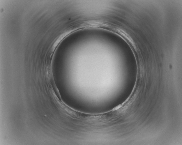 X0000073701481200608031202