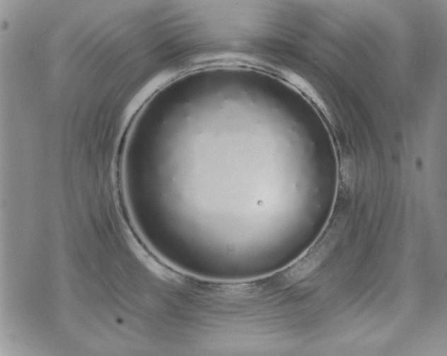 X0000073701482200608031202