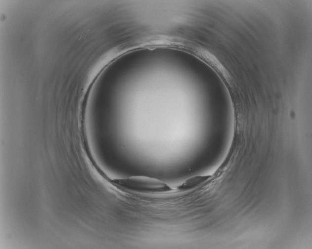 X0000073701483200608031202