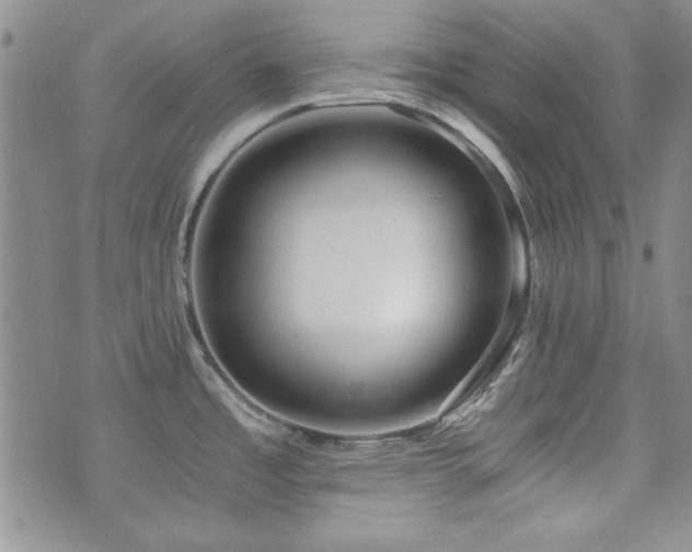 X0000073701485200608031202