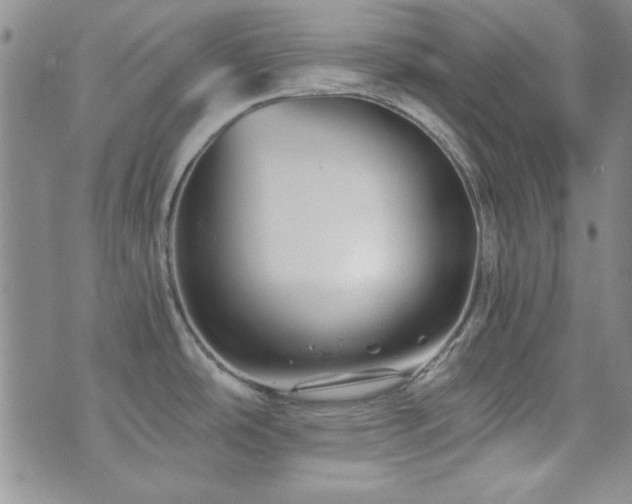 X0000073701486200608031202