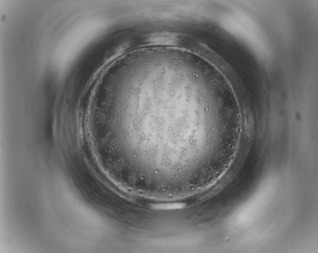 X0000073701487200608031202