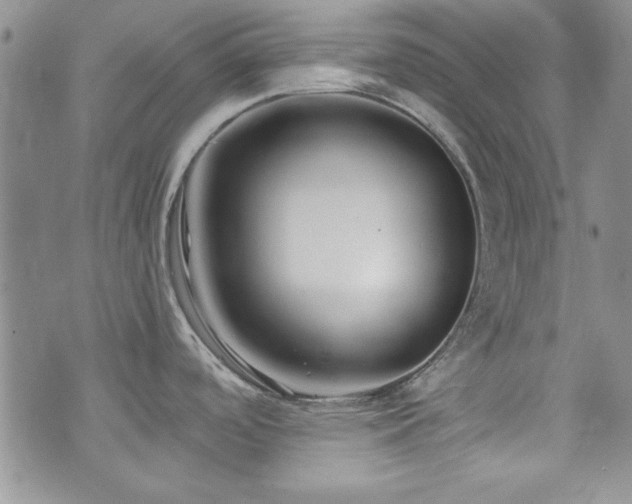 X0000073701488200608031202