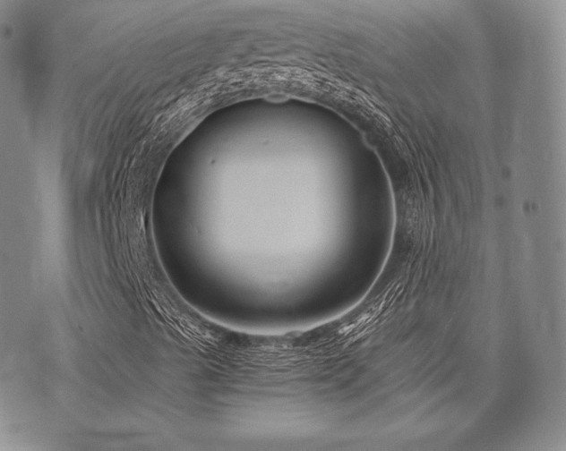 X0000073701489200608031201