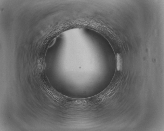 X0000073701491200608031201