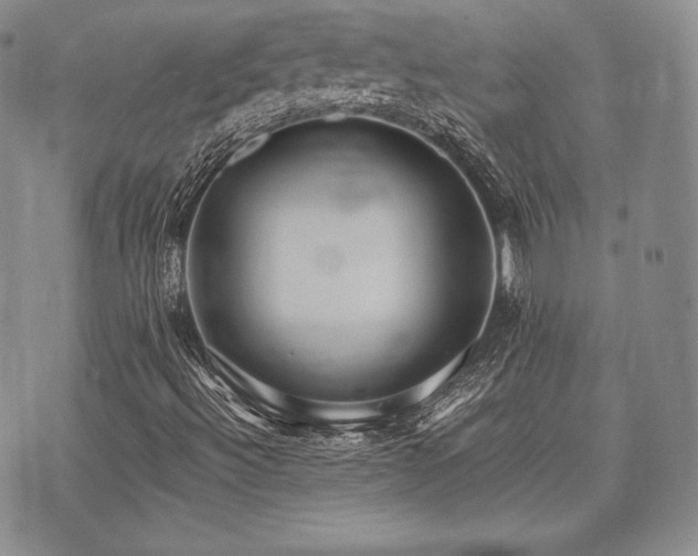 X0000073701492200608031201